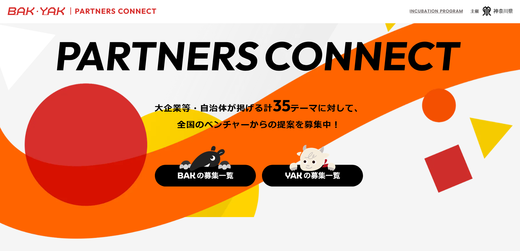 BAK BAK PARTNERS CONNECT 2026